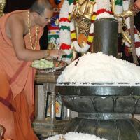 Annaabhishekam22Nov2007 051_CMP_WM